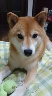 二百十日.jpg
