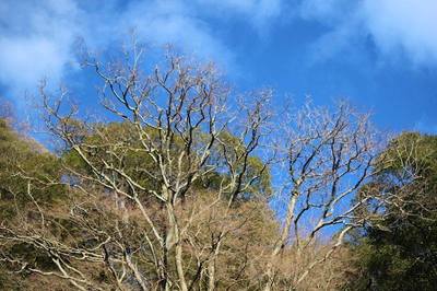 冬の空.jpg