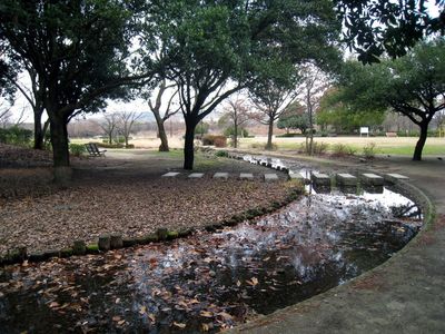 水温む.jpg
