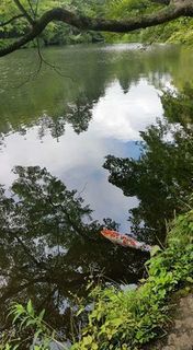 水澄みて.jpg