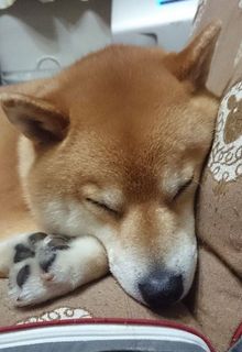 盆休み.jpg