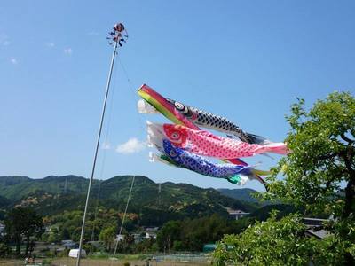 鯉のぼり.jpg
